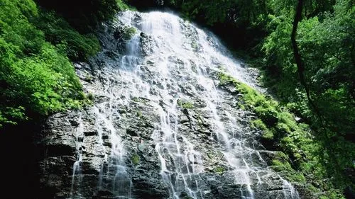 高端环保